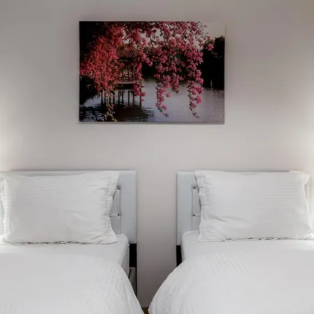 Appartement And Modern Flat Near Flower Passage