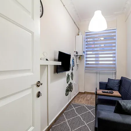 And Modern Flat Near Flower Passage Apartment Istanbul