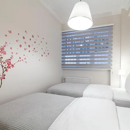 And Modern Flat Near Flower Passage Apartment Istanbul